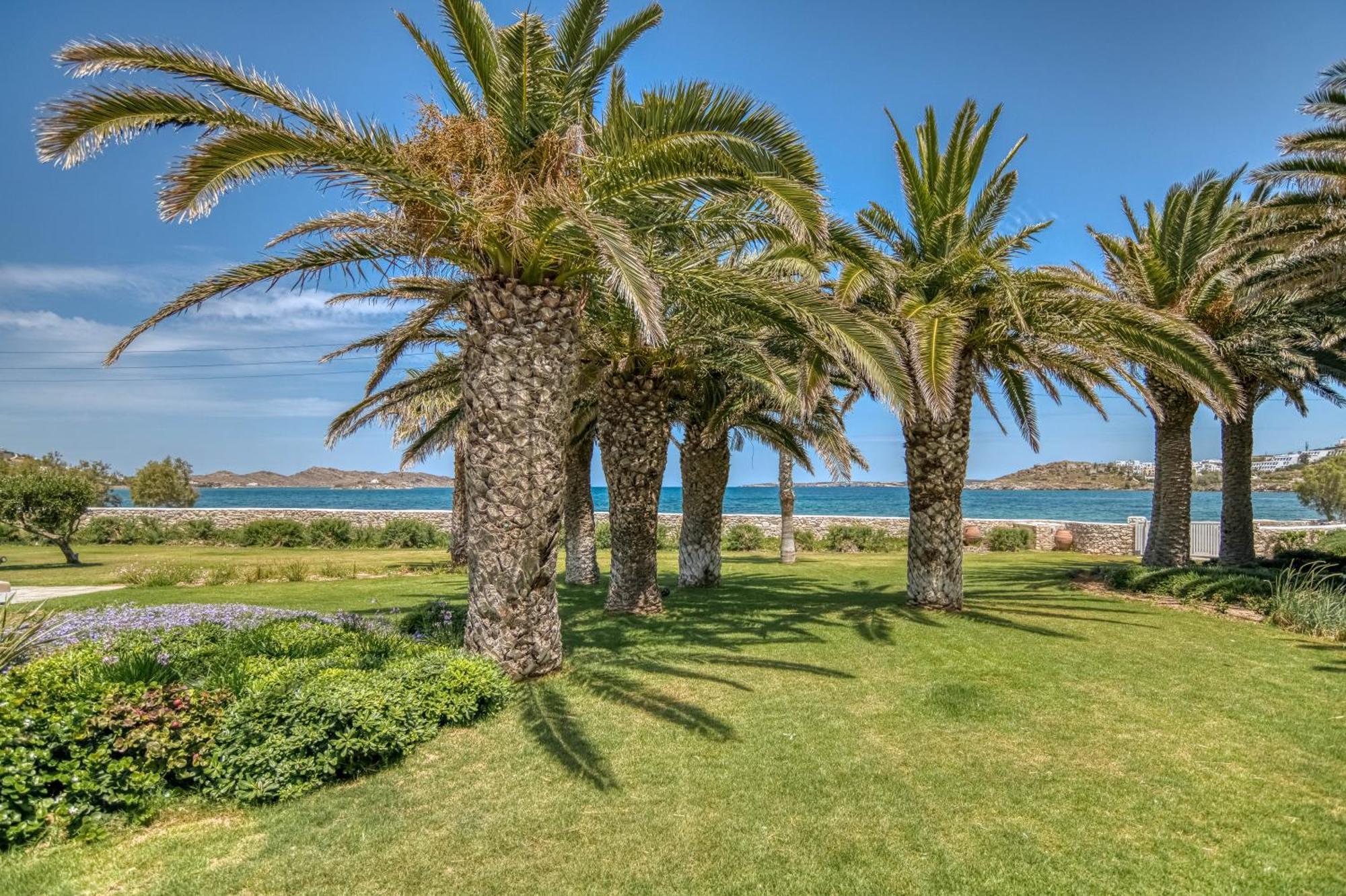 Aparthotel Bellonia Naousa (Paros)