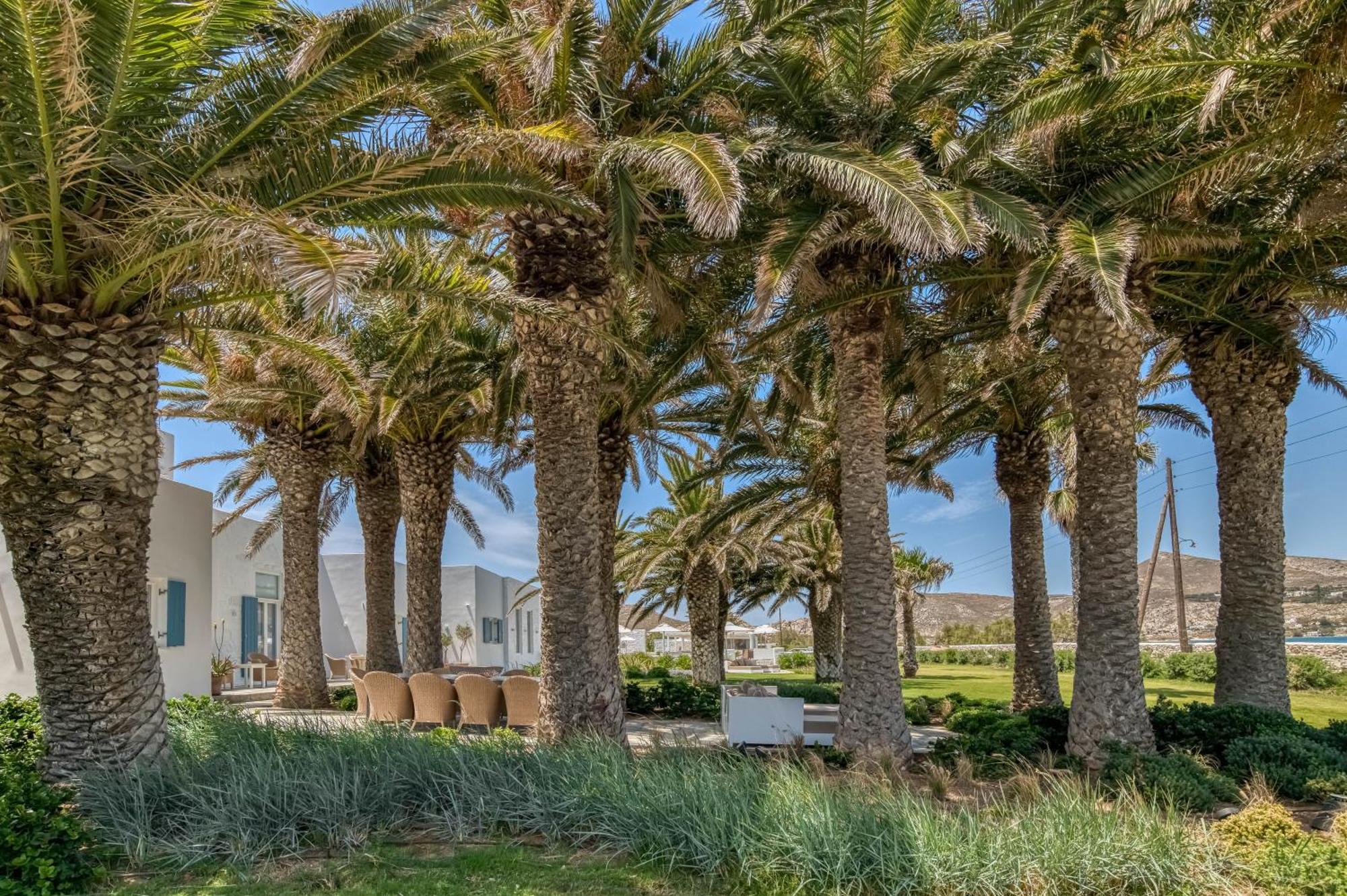 Bellonia Aparthotel Naousa (Paros)