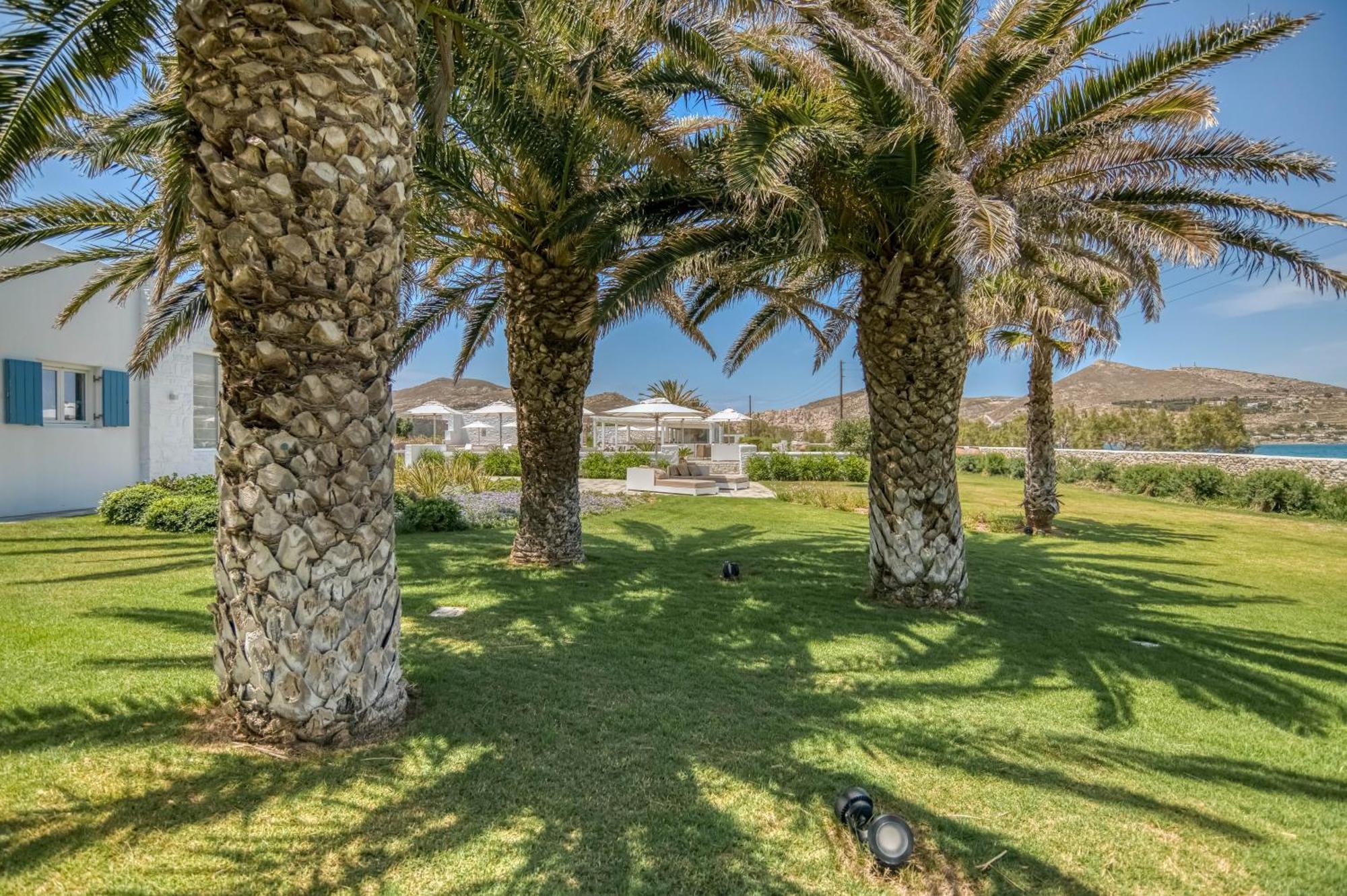 Bellonia Naousa (Paros)