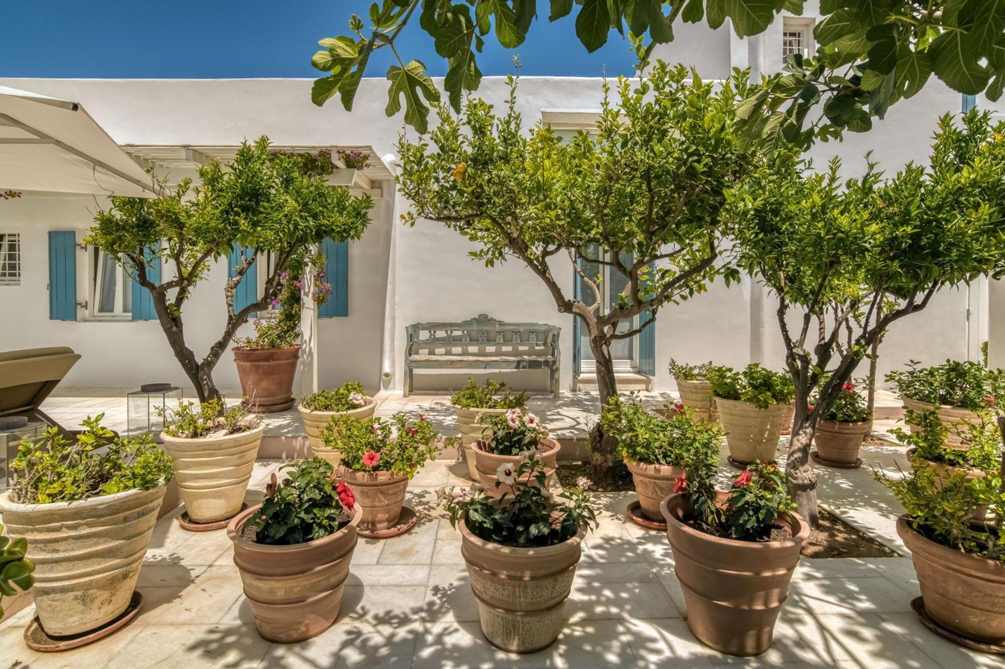 Bellonia Aparthotel Naousa (Paros)